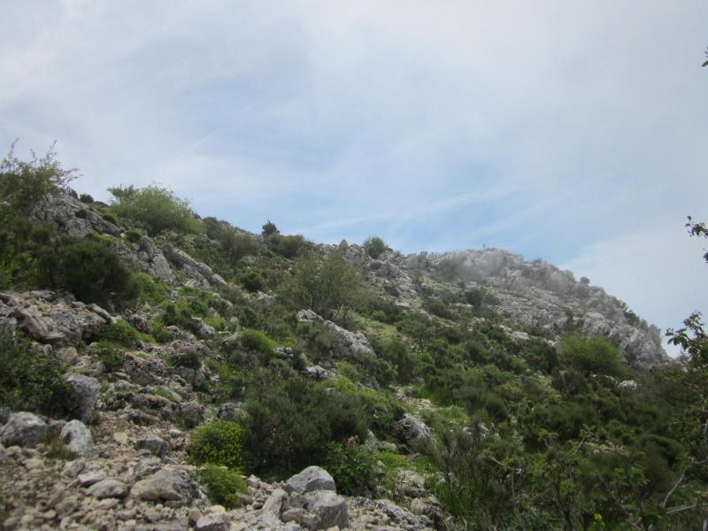 montée finale