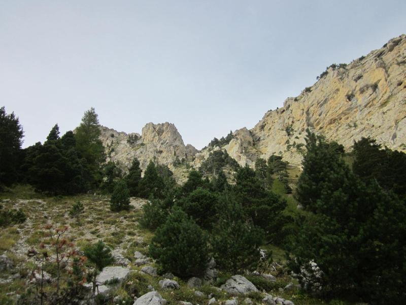 montée