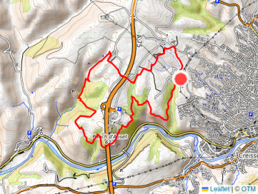 Morning Trail Run