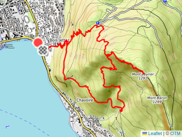 Morning Trail Run