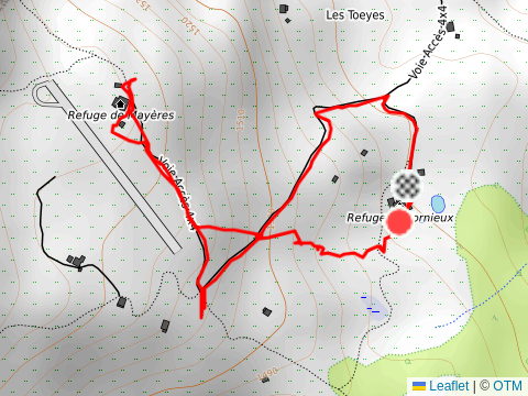 Morning Trail Run