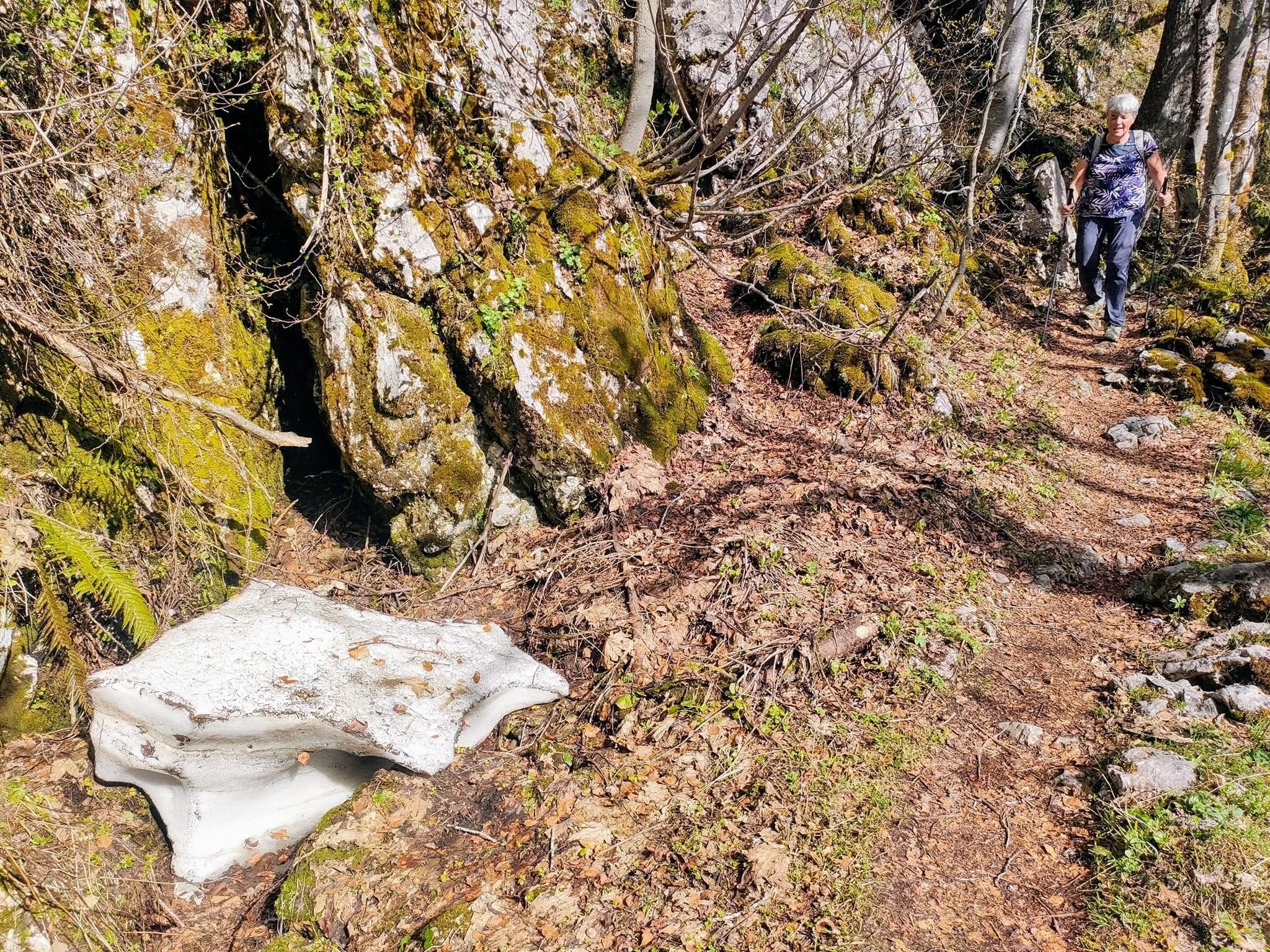Mouflons, chamois et marmottes