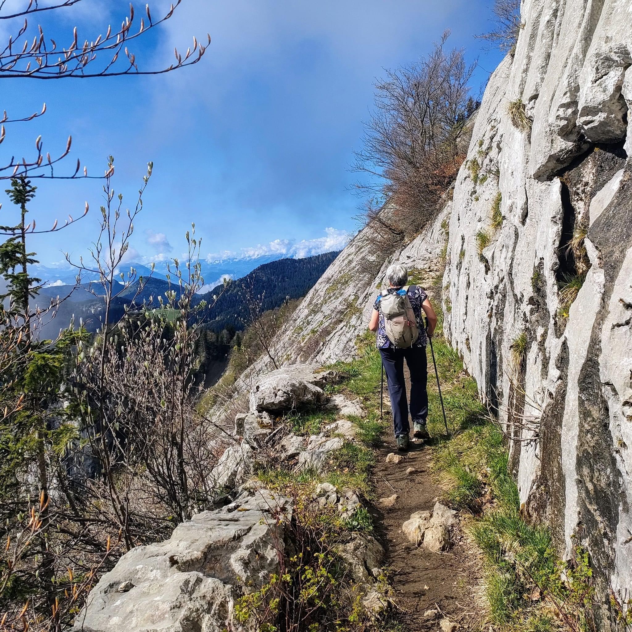 Mouflons, chamois et marmottes