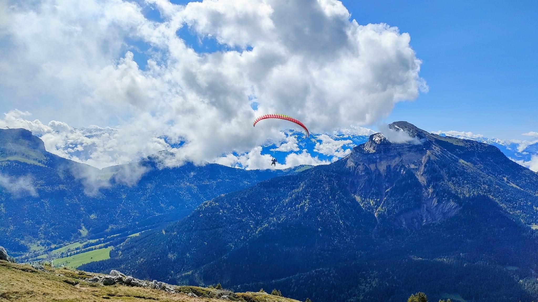 Mouflons, chamois et marmottes