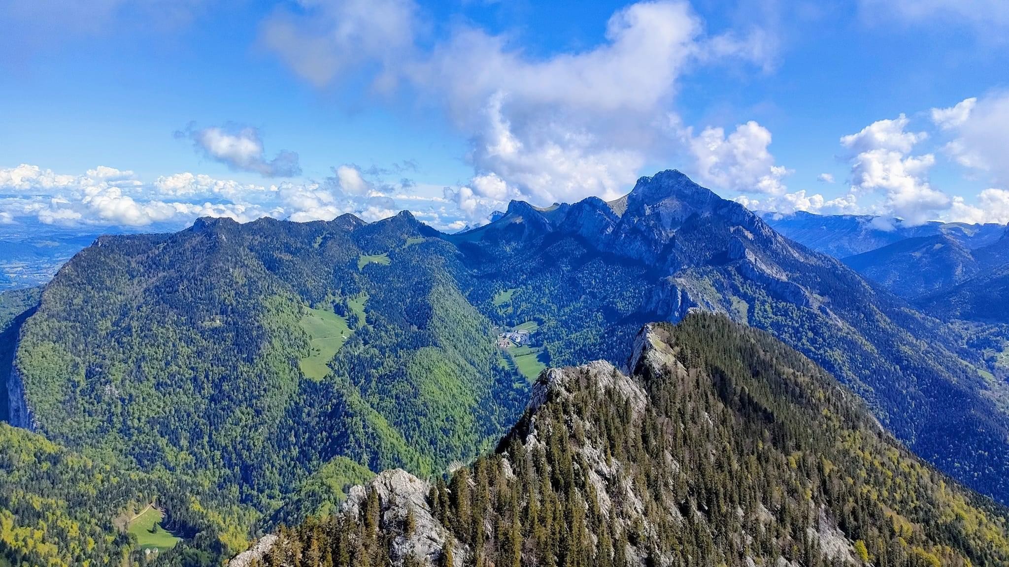 Mouflons, chamois et marmottes