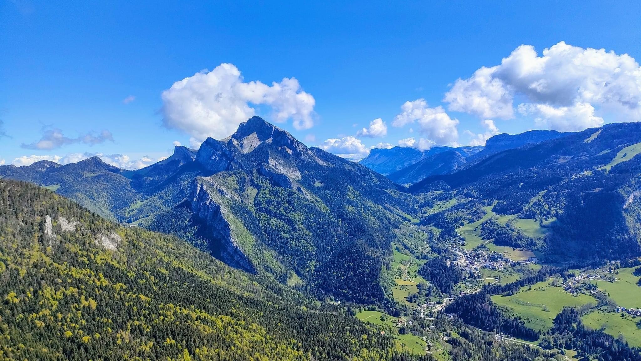 Mouflons, chamois et marmottes