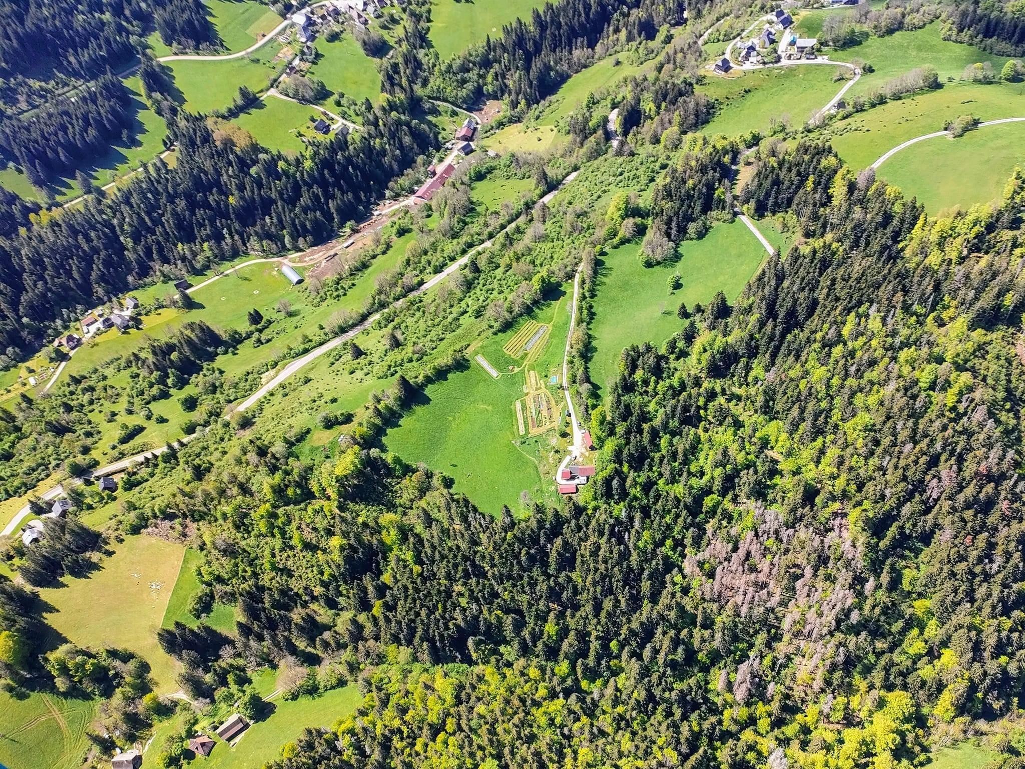 Mouflons, chamois et marmottes