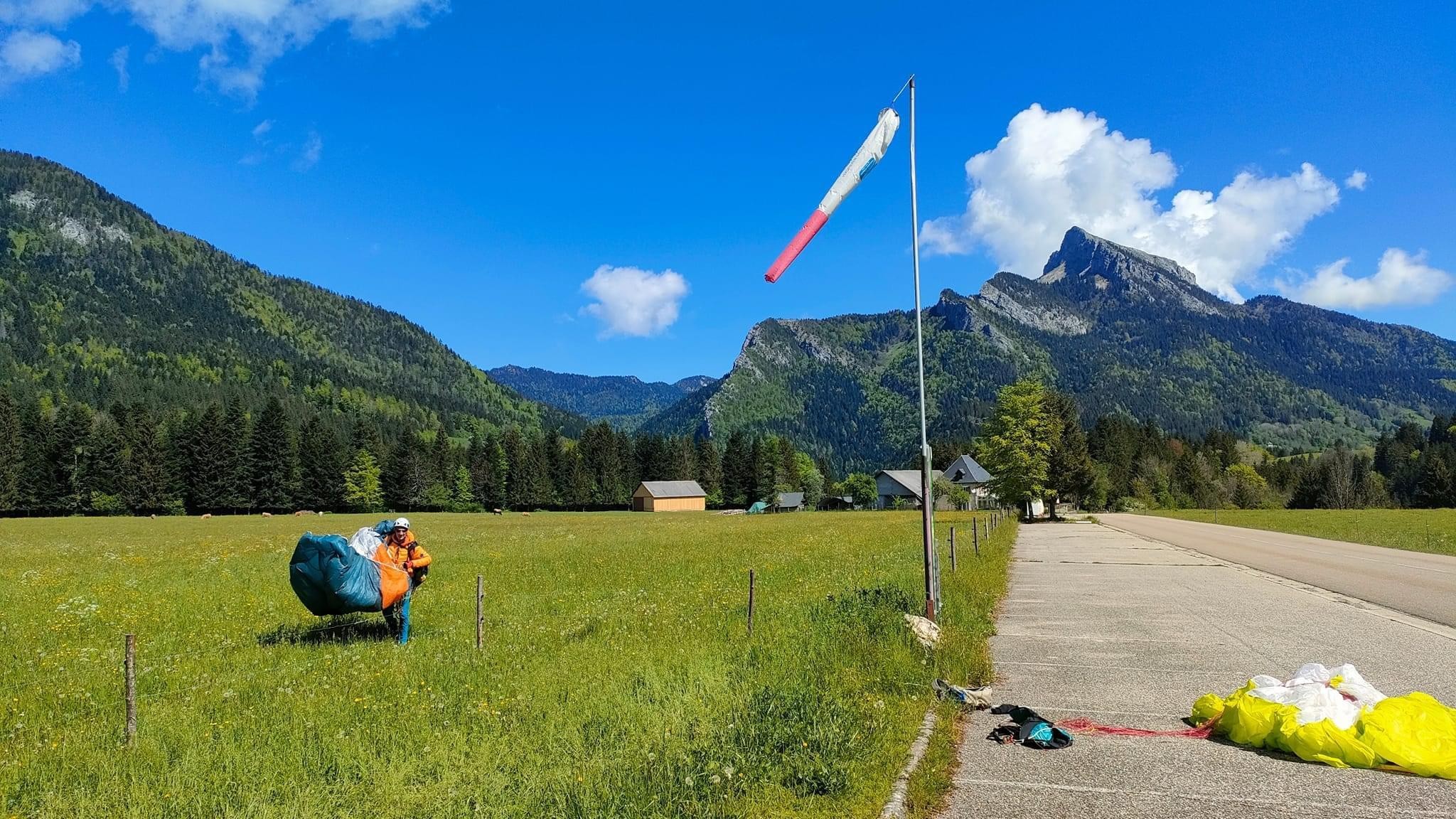 Mouflons, chamois et marmottes