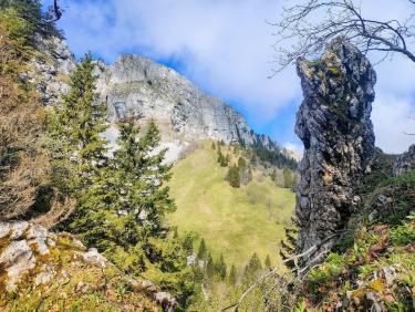 Mouflons, chamois et marmottes