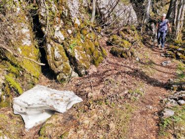 Mouflons, chamois et marmottes