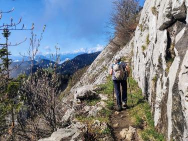 Mouflons, chamois et marmottes