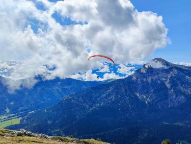 Mouflons, chamois et marmottes