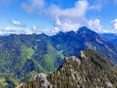 Mouflons, chamois et marmottes