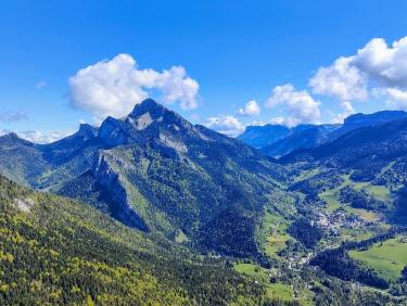 Mouflons, chamois et marmottes