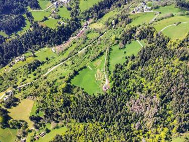 Mouflons, chamois et marmottes