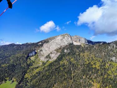 Mouflons, chamois et marmottes