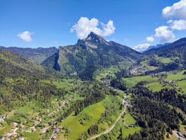 Mouflons, chamois et marmottes