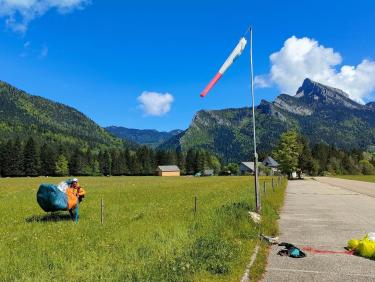 Mouflons, chamois et marmottes