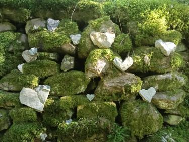 Le mur des amoureux 