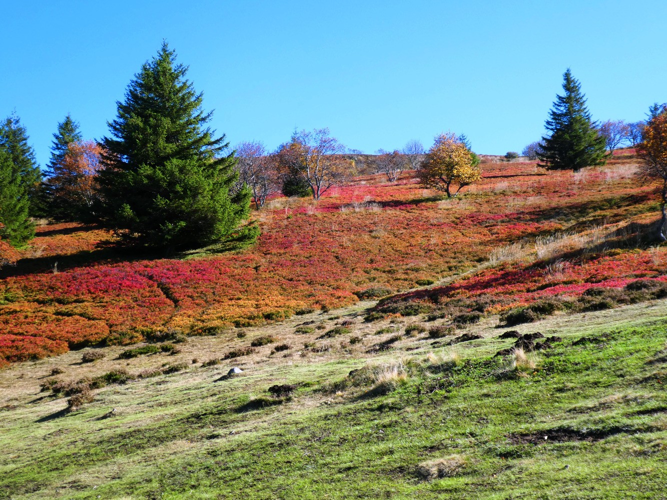 couleurs d'automne sur le plateau de Durbise