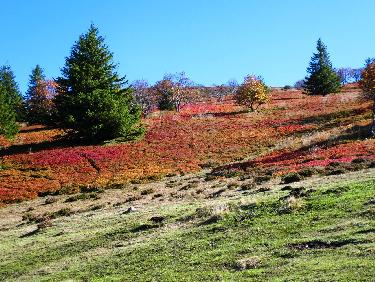 couleurs d&apos;automne sur le plateau de Durbise