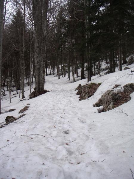 NEIGE
