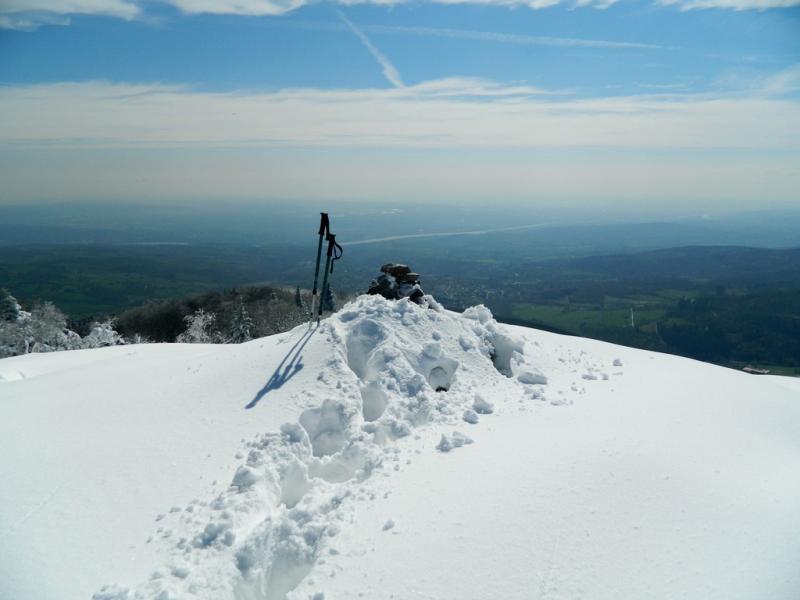 Neige d'avril.