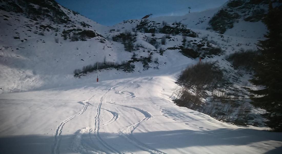Neige fraiche
