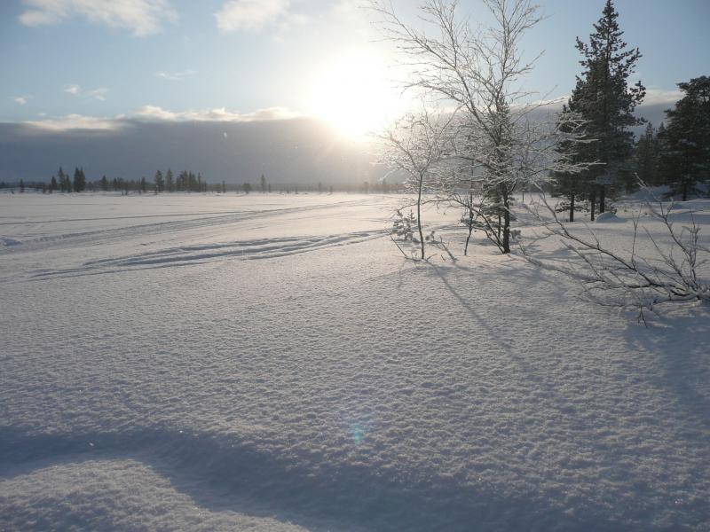 Neige poudreuse