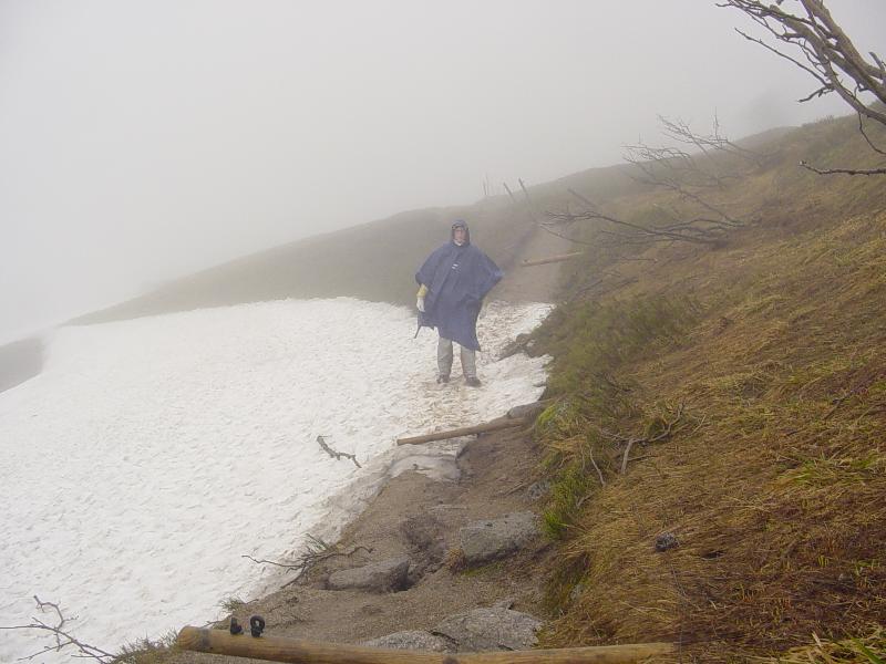 Névé sous la crète