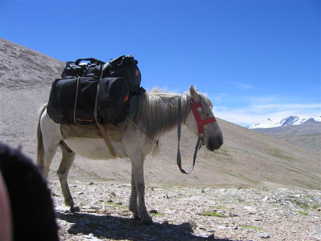 Nilo