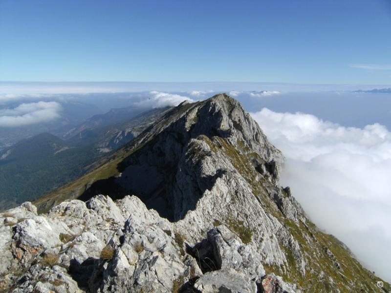 Nord.