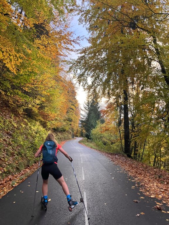 Ski nordique dans l'après-midi