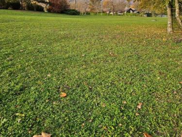 Boucle Montbonnot - Biviers - Montbonnot