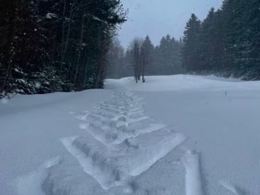 Flocons ❄️❄️❄️