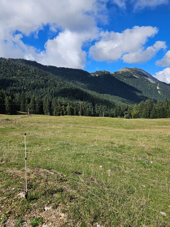 Prairie du Col de Porte