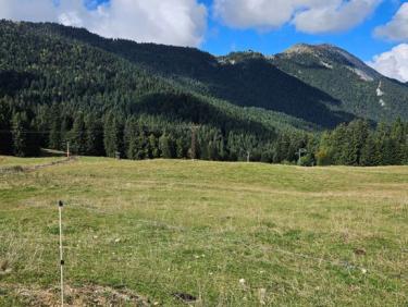 Prairie du Col de Porte