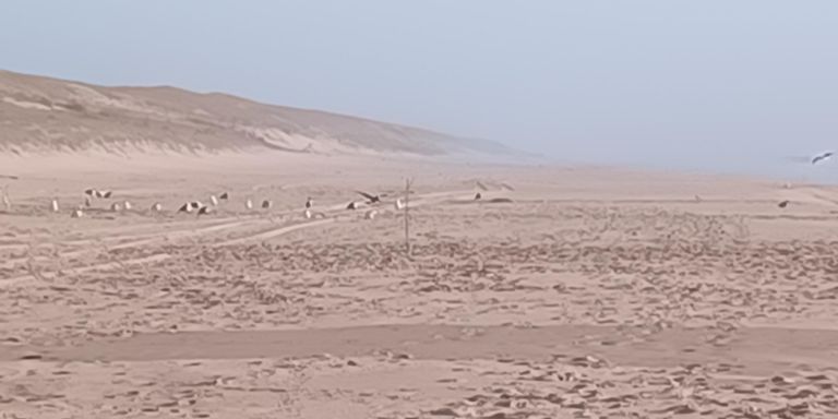 Sortie VTT+baignade dans l'après-midi à l'océan