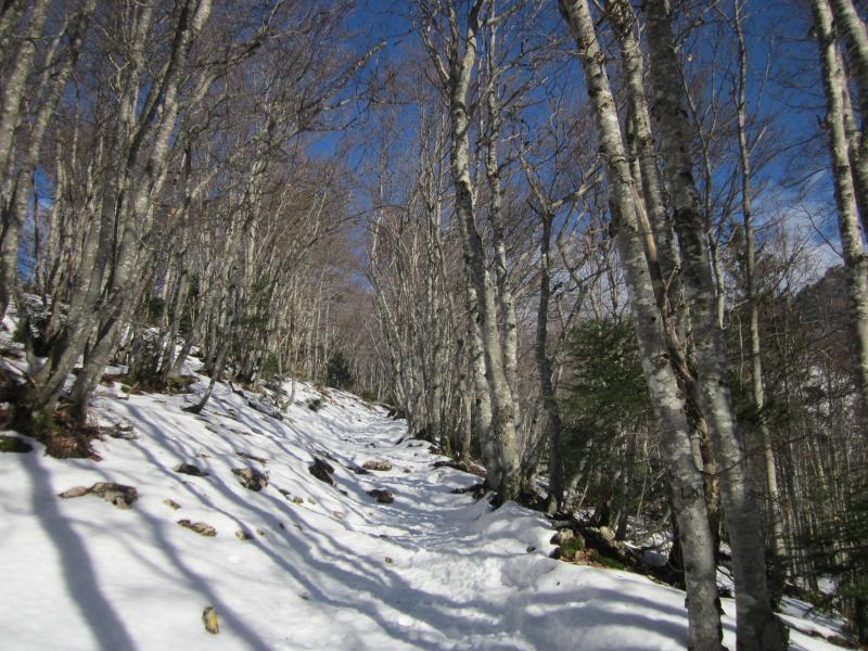 neige au dessus de 1350m