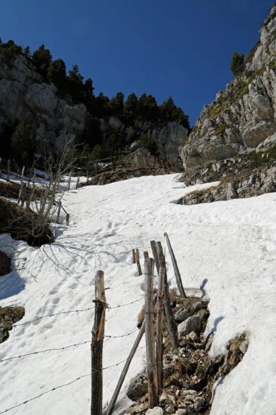 neige avant la croix