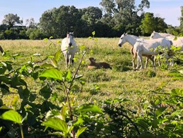 Morning Trail Run. Entraînement