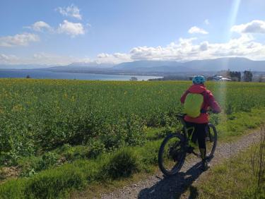 Ivoire, beaux single dans le bois de Boisy