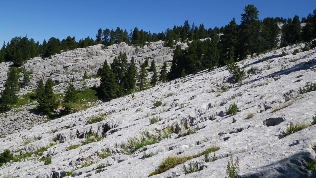 nombreux lapiaz dans la descente