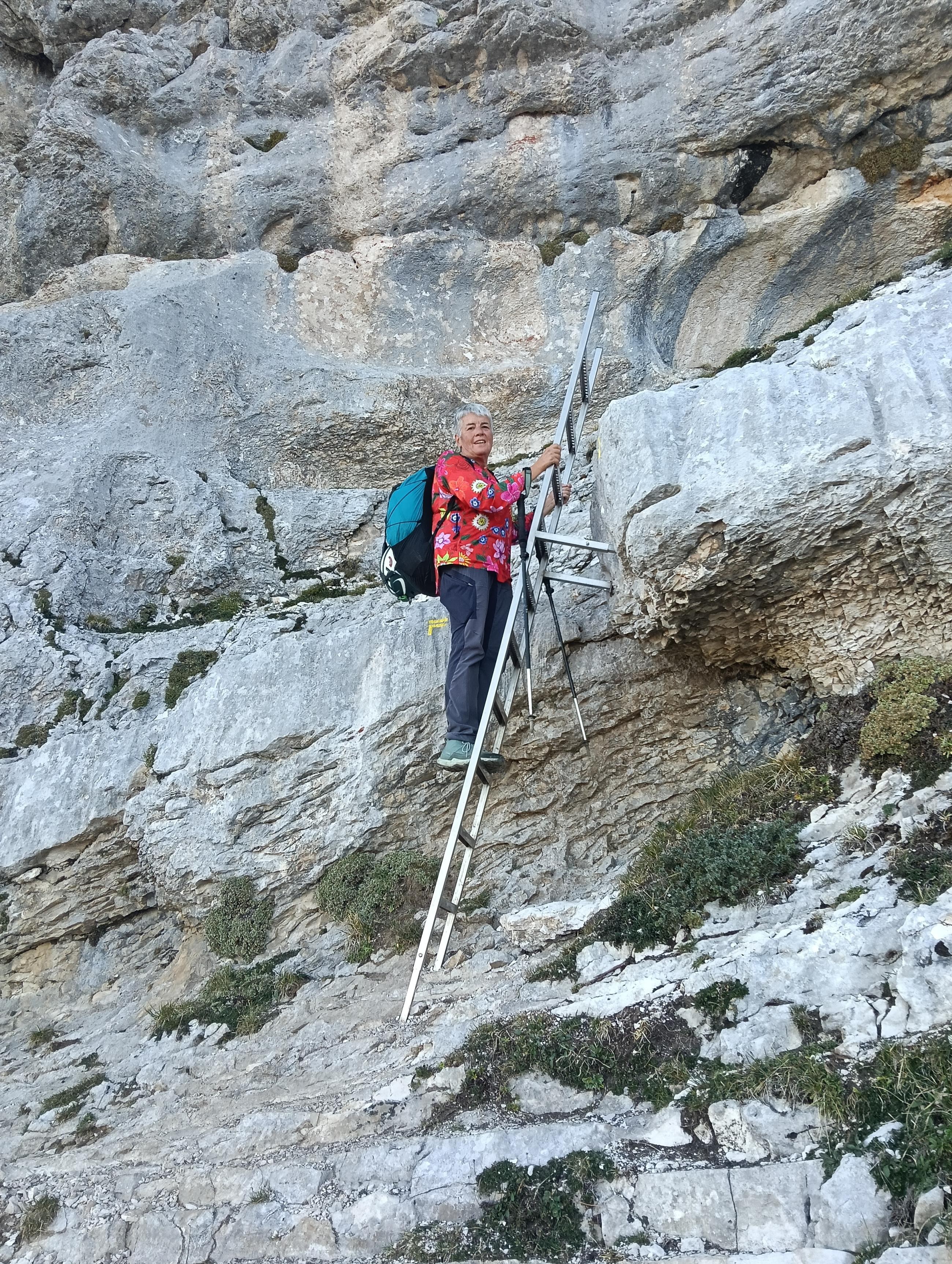 Nouvelle échelle sur le parcours 