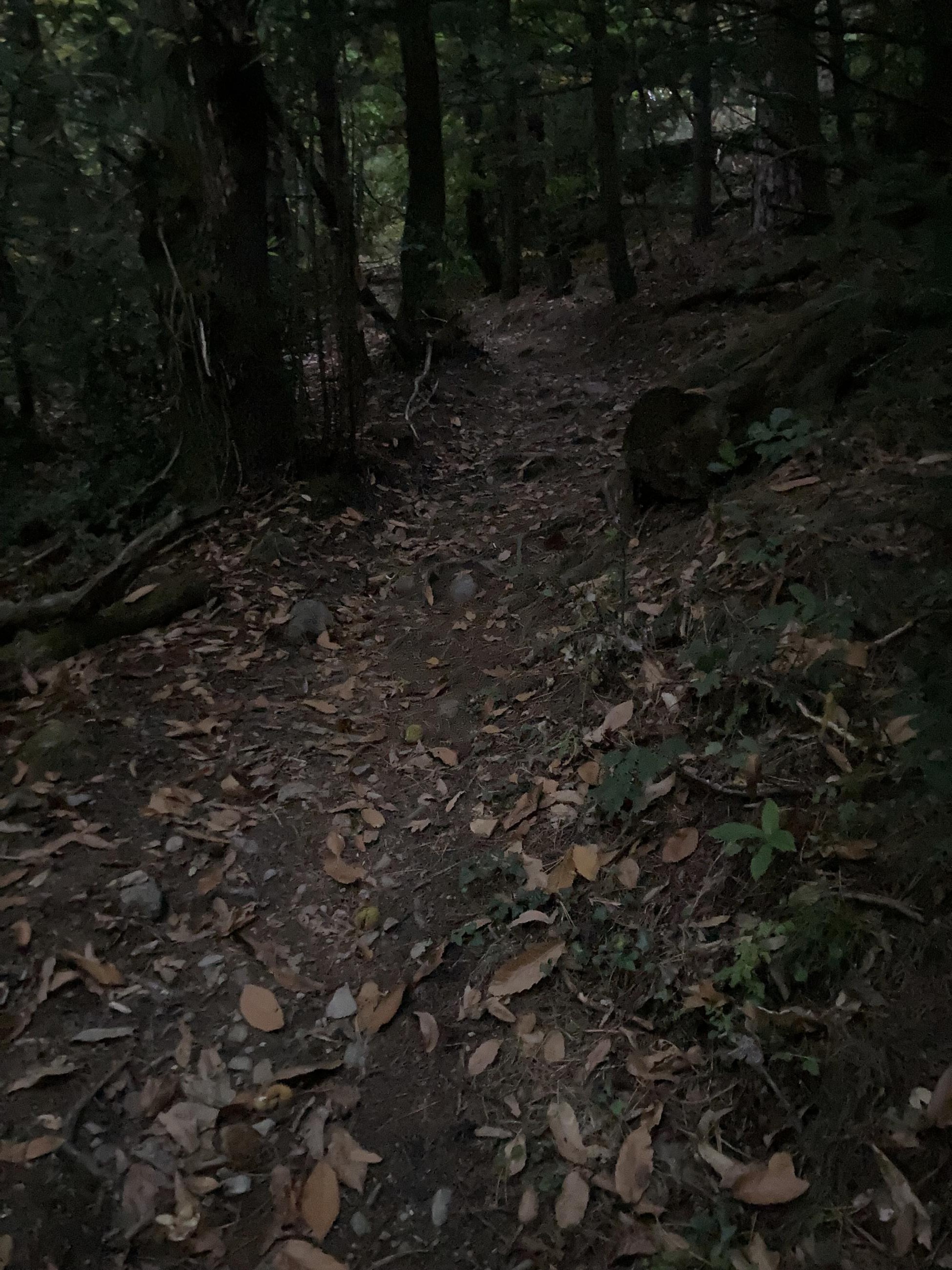 La nuit tombe (remontée vers la Croix)