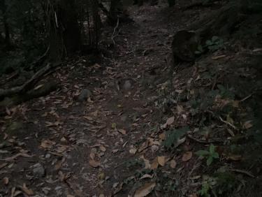 La nuit tombe (remontée vers la Croix)