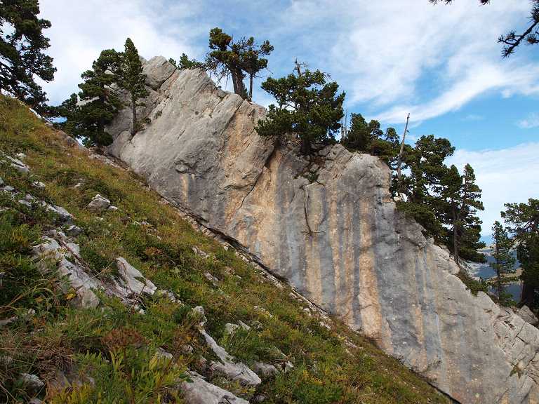 Obsctacle sur la voie