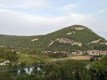 Mandallaz zone verte