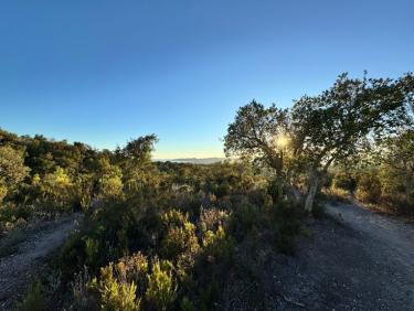 Trail dans l&apos;après-midi