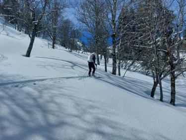 Ski de randonnée le matin